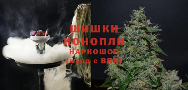 индика Богданович